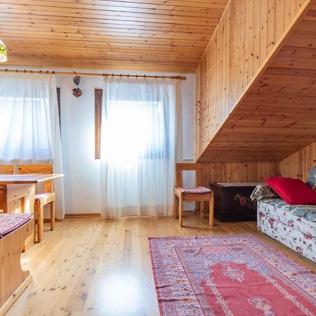 Appartement Petit Arnica à Selva di Cadore Extérieur photo