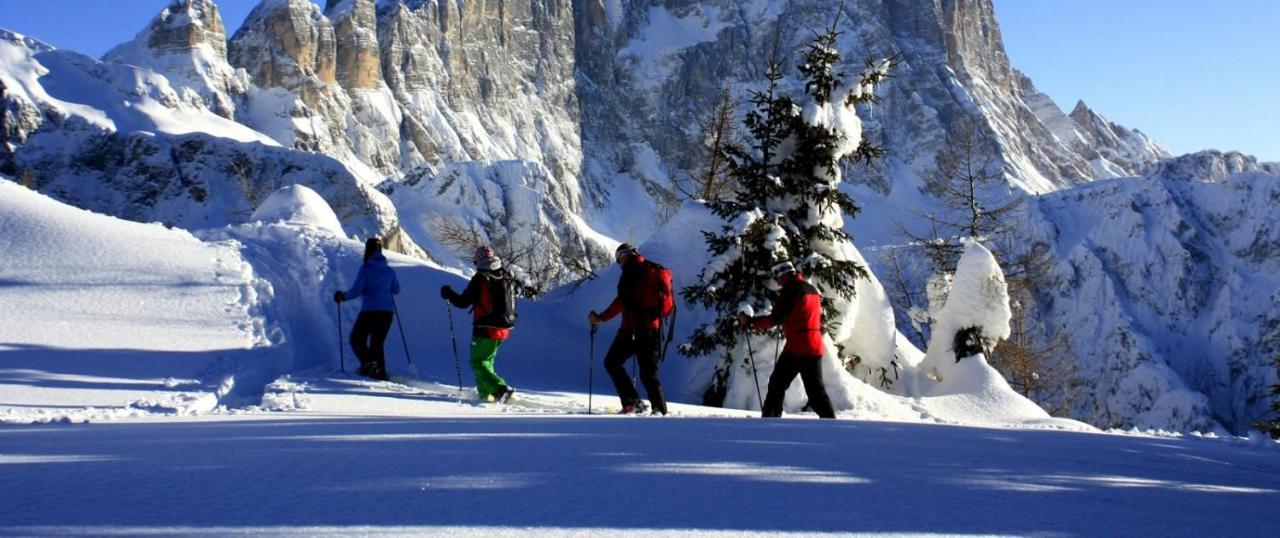 Appartement Petit Arnica à Selva di Cadore Extérieur photo