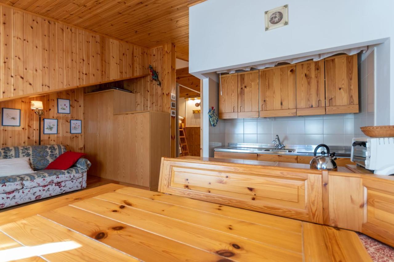 Appartement Petit Arnica à Selva di Cadore Extérieur photo