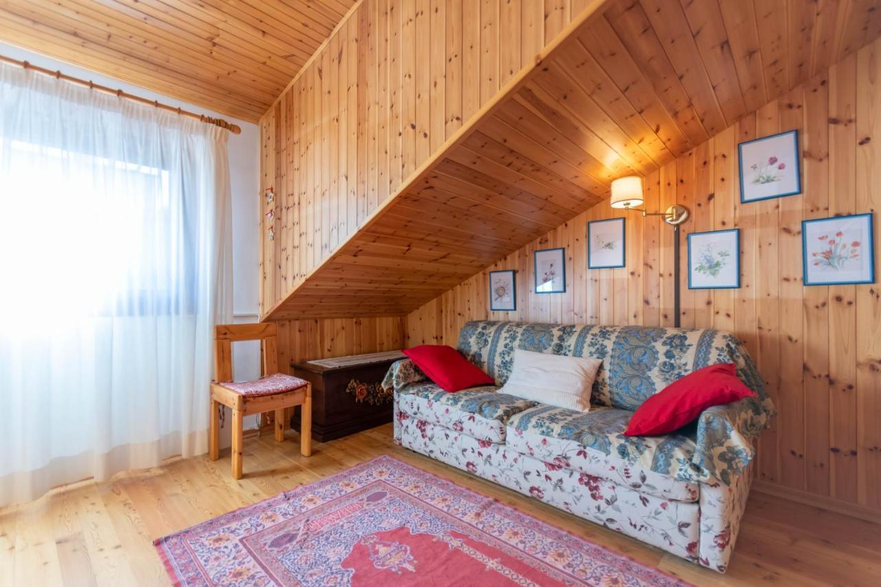 Appartement Petit Arnica à Selva di Cadore Extérieur photo